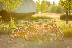 Complimentary Bikes